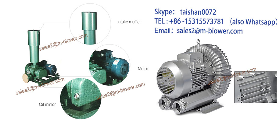 Chinese High quality Roots Air Blower for Industrial Machinery