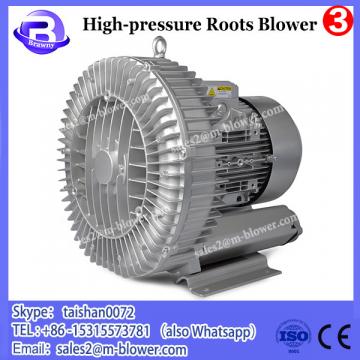 Customerized twin lobe high pressure roots blower