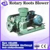 china zyl94wd twin lobe roots blower/air blower/ pump fan for wastewater treatment ss gear pump