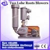 Pollution control plant two lobes roots air blower