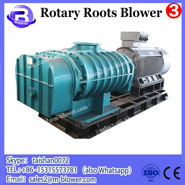 high pressure rotary lobe pump 12v air blower #1 image